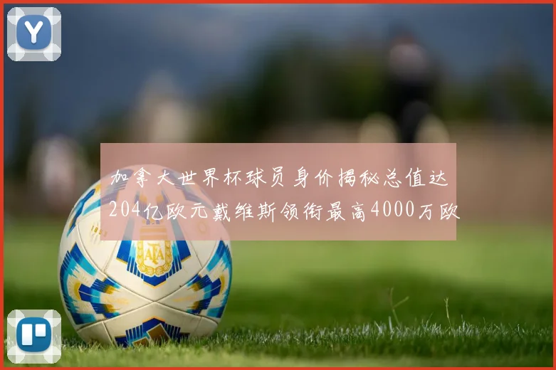 加拿大世界杯球员身价揭秘总值达204亿欧元戴维斯领衔最高4000万欧