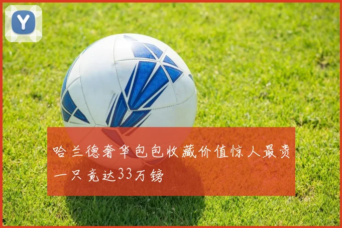 哈兰德奢华包包收藏价值惊人最贵一只竟达33万镑